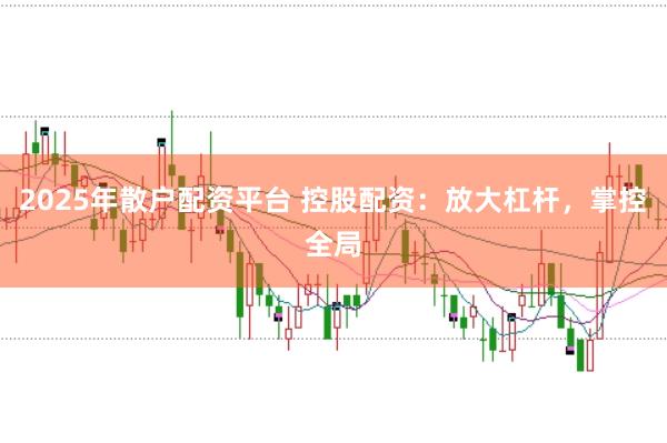 2025年散户配资平台 控股配资：放大杠杆，掌控全局