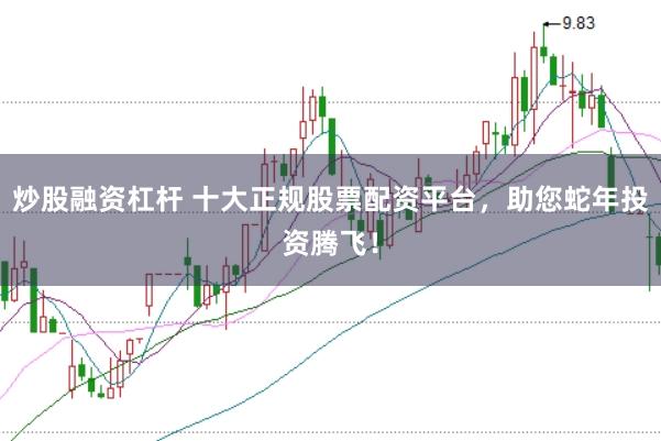 炒股融资杠杆 十大正规股票配资平台，助您蛇年投资腾飞！