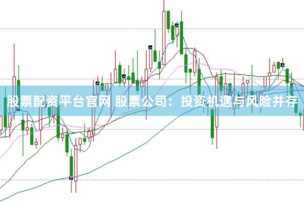 股票配资平台官网 股票公司：投资机遇与风险并存
