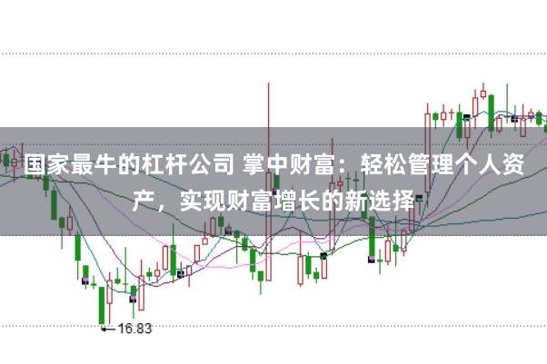 国家最牛的杠杆公司 掌中财富：轻松管理个人资产，实现财富增长的新选择