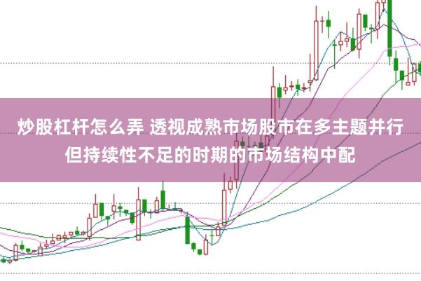 炒股杠杆怎么弄 透视成熟市场股市在多主题并行但持续性不足的时期的市场结构中配
