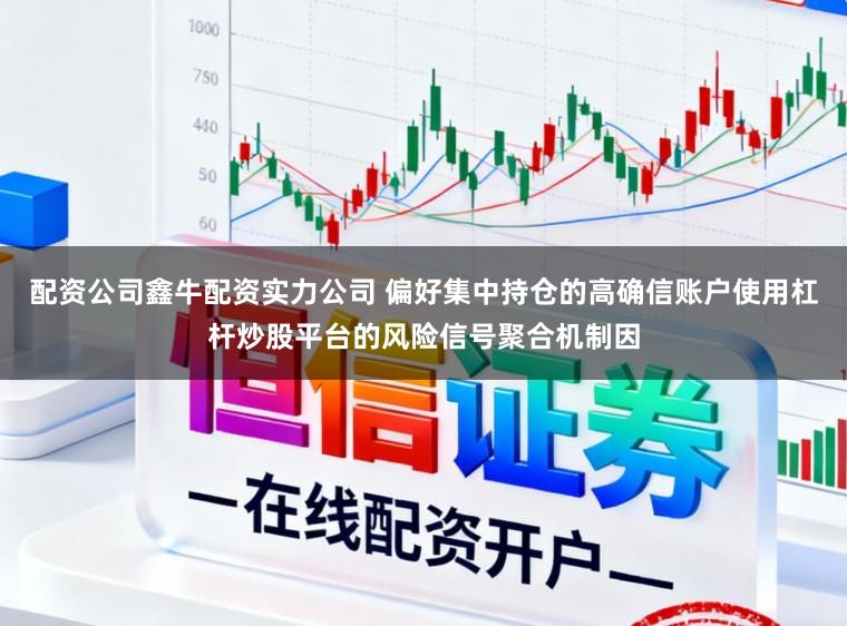 配资公司鑫牛配资实力公司 偏好集中持仓的高确信账户使用杠杆炒股平台的风险信号聚合机制因
