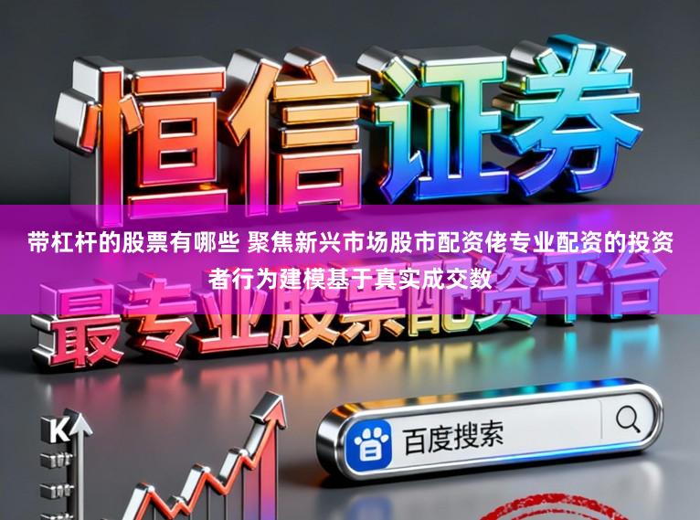 带杠杆的股票有哪些 聚焦新兴市场股市配资佬专业配资的投资者行为建模基于真实成交数